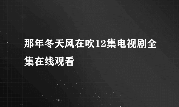 那年冬天风在吹12集电视剧全集在线观看