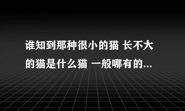 谁知到那种很小的猫 长不大的猫是什么猫 一般哪有的卖。价位多少