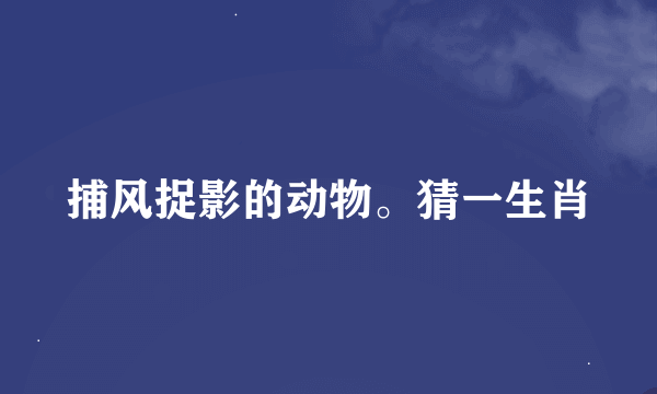 捕风捉影的动物。猜一生肖