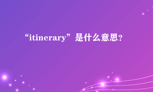 “itinerary”是什么意思？