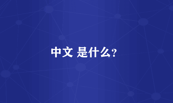 中文 是什么？