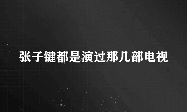 张子键都是演过那几部电视