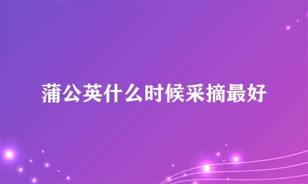 蒲公英什么时候采摘最好