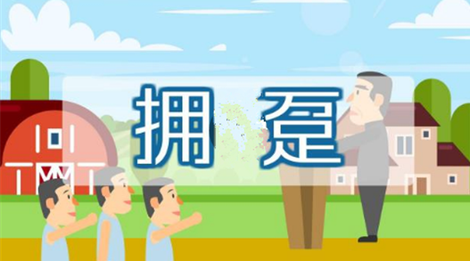 拥趸（dǔn）是什么意思