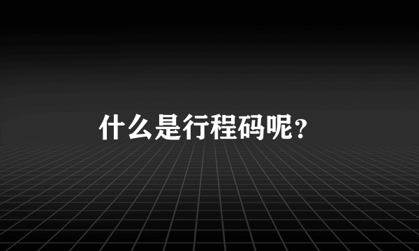 什么是行程码呢？