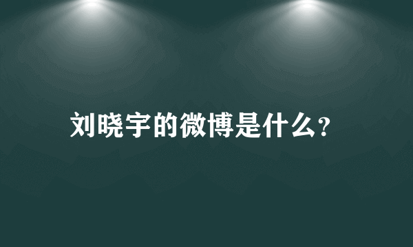 刘晓宇的微博是什么？