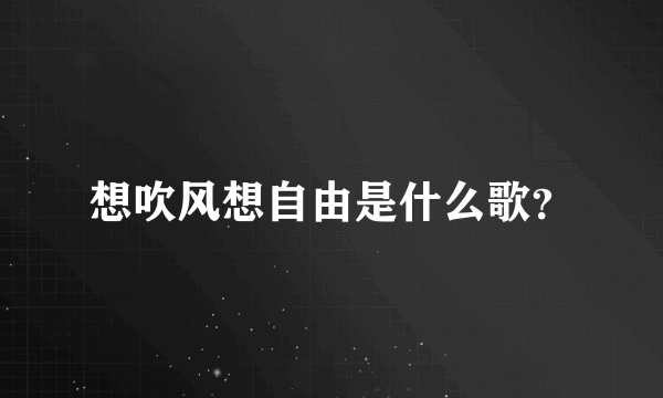 想吹风想自由是什么歌？