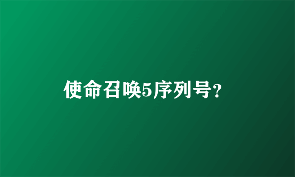 使命召唤5序列号？