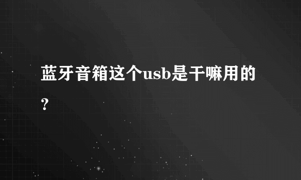 蓝牙音箱这个usb是干嘛用的？