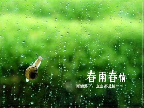 有关春雨的诗句,20句