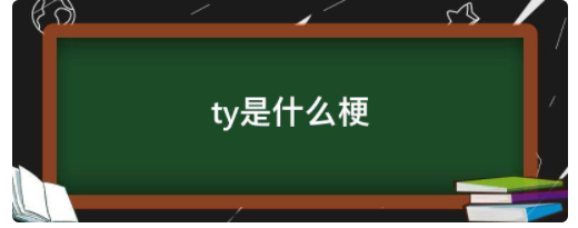 ty是什么梗