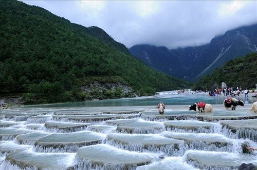 想要从成都开车去丽江旅行，你觉得可行吗？