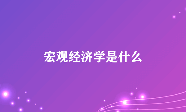 宏观经济学是什么