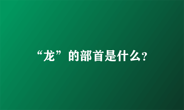 “龙”的部首是什么？