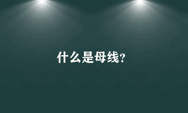 什么是母线？