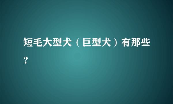 短毛大型犬（巨型犬）有那些？