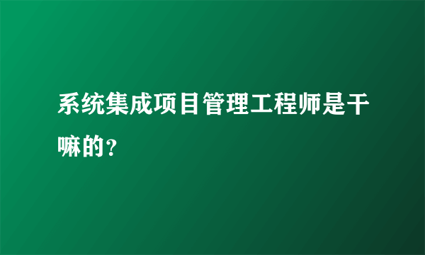 系统集成项目管理工程师是干嘛的？