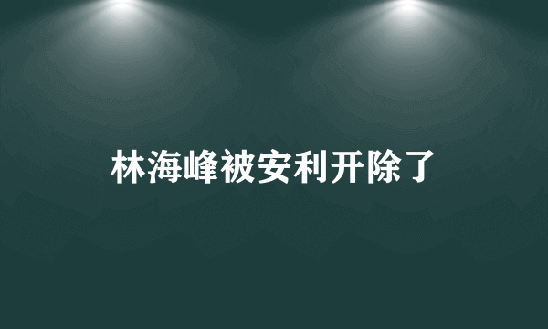 林海峰被安利开除了