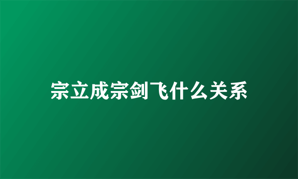 宗立成宗剑飞什么关系