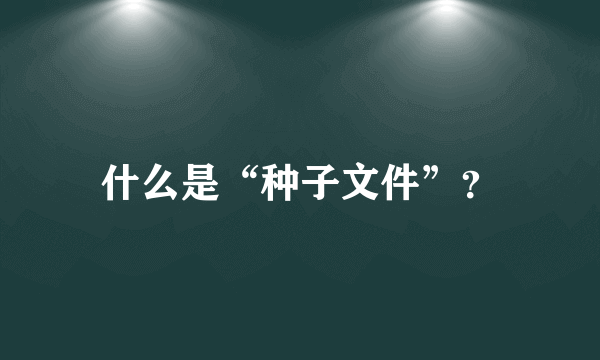 什么是“种子文件”？