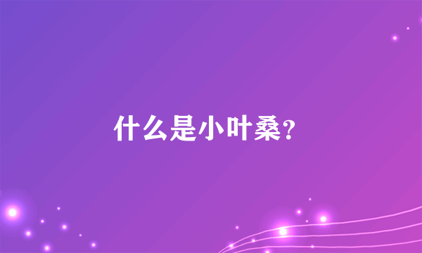 什么是小叶桑？