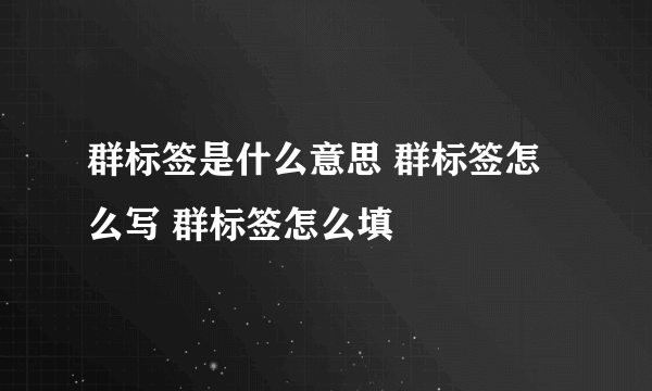 群标签是什么意思 群标签怎么写 群标签怎么填