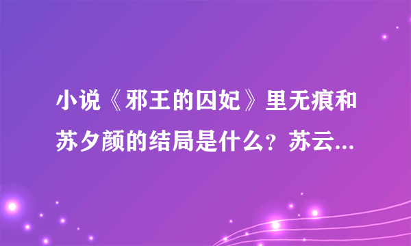 小说《邪王的囚妃》里无痕和苏夕颜的结局是什么？苏云风的呢？