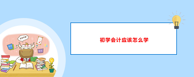 初学者怎样自学会计