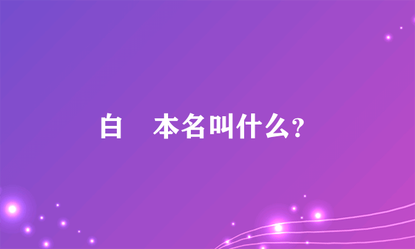 白萩本名叫什么？