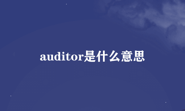 auditor是什么意思