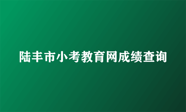 陆丰市小考教育网成绩查询