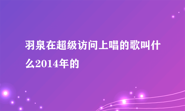 羽泉在超级访问上唱的歌叫什么2014年的