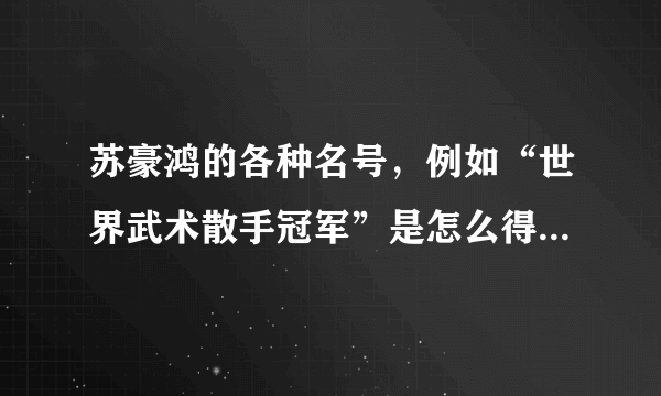 苏豪鸿的各种名号，例如“世界武术散手冠军”是怎么得来的？因为总不能自封吧；要是打过，肯定会有痕迹吧？