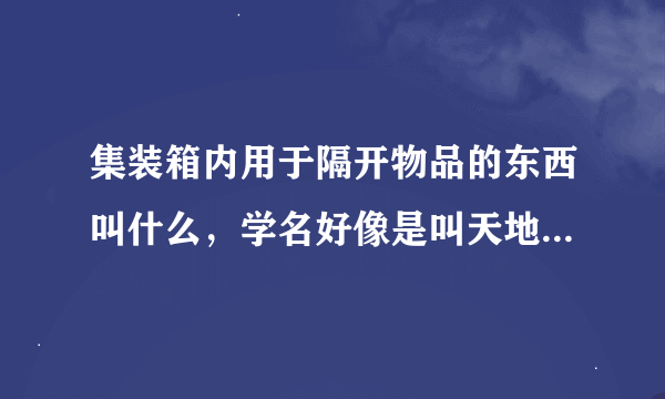 集装箱内用于隔开物品的东西叫什么，学名好像是叫天地袋，什么样子的