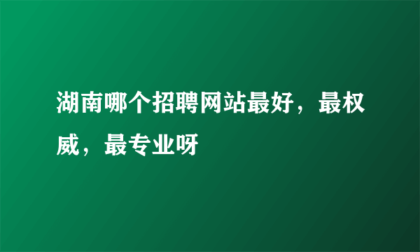 湖南哪个招聘网站最好，最权威，最专业呀