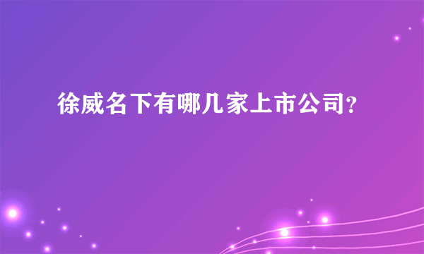 徐威名下有哪几家上市公司？