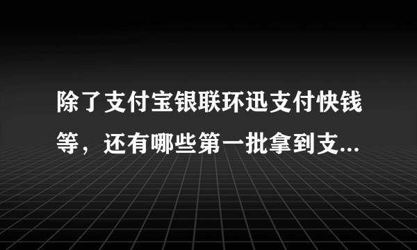 除了支付宝银联环迅支付快钱等，还有哪些第一批拿到支付牌照的企业？