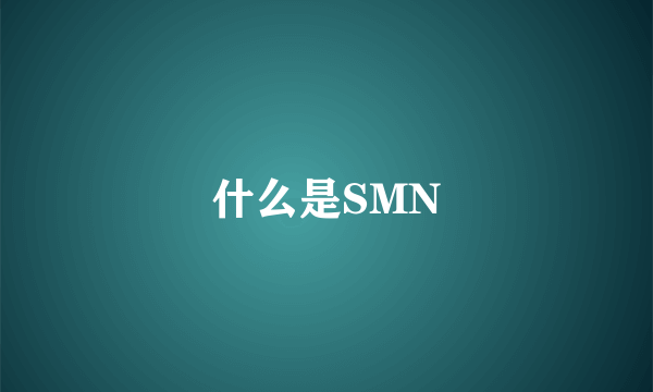 什么是SMN