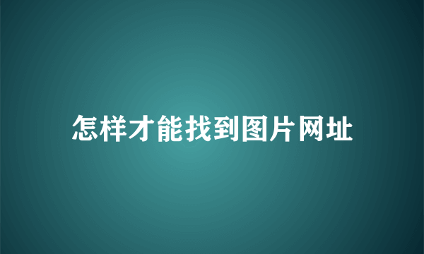 怎样才能找到图片网址