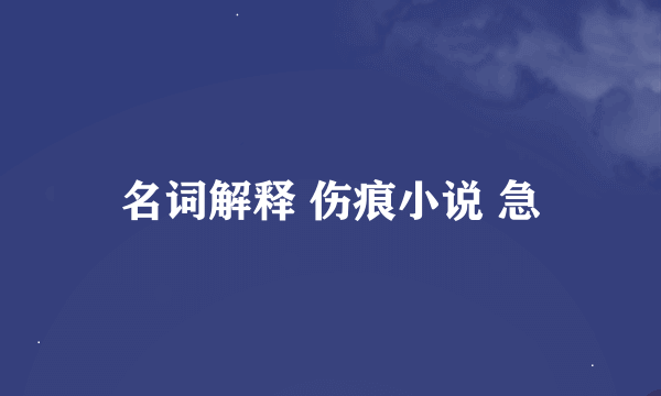 名词解释 伤痕小说 急