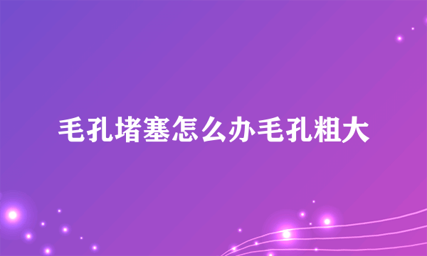 毛孔堵塞怎么办毛孔粗大