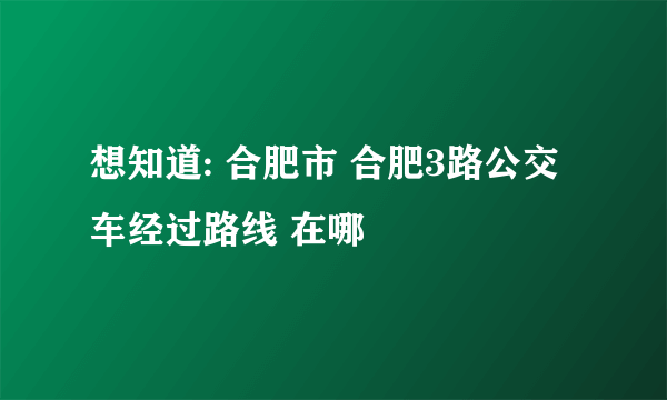 想知道: 合肥市 合肥3路公交车经过路线 在哪