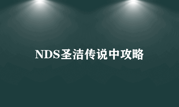 NDS圣洁传说中攻略