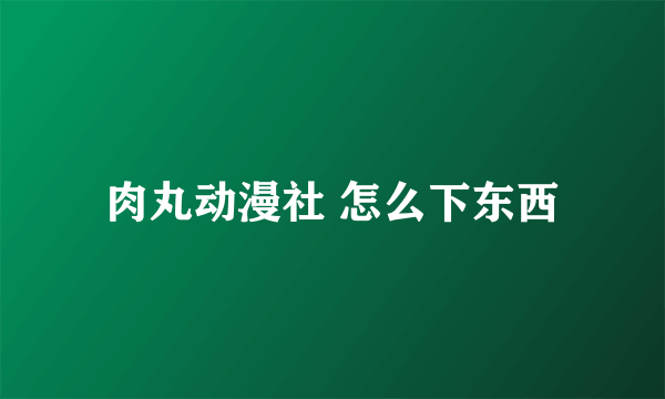 肉丸动漫社 怎么下东西