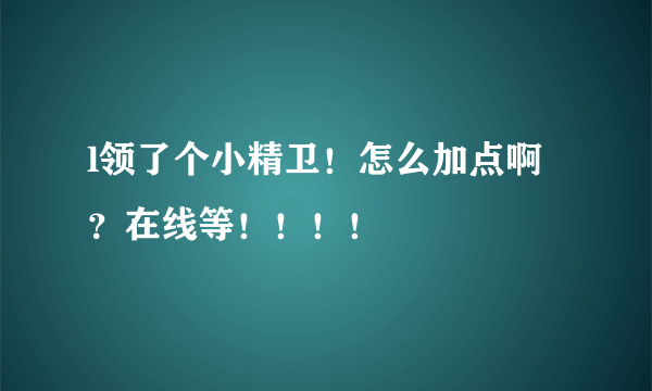 l领了个小精卫！怎么加点啊？在线等！！！！