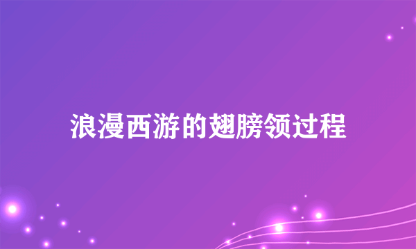 浪漫西游的翅膀领过程