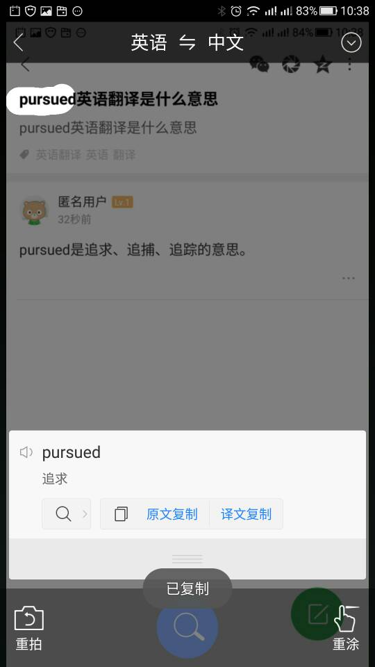 pursued英语翻译是什么意思