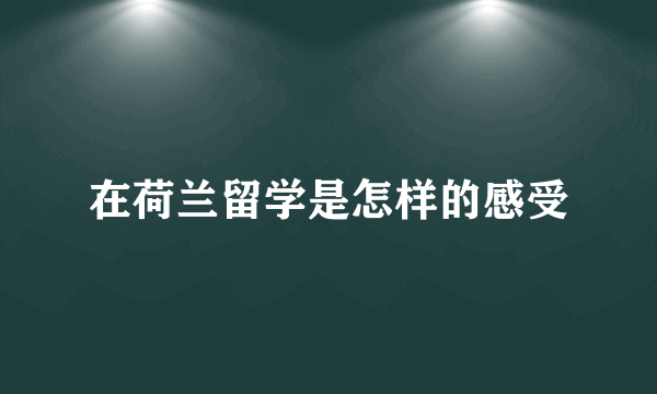 在荷兰留学是怎样的感受