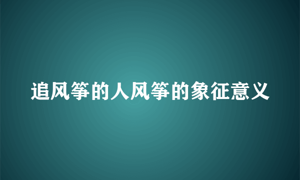 追风筝的人风筝的象征意义