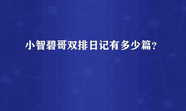 小智碧哥双排日记有多少篇？